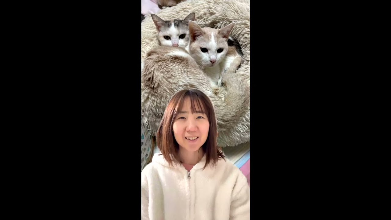 山手線が止まったー！！