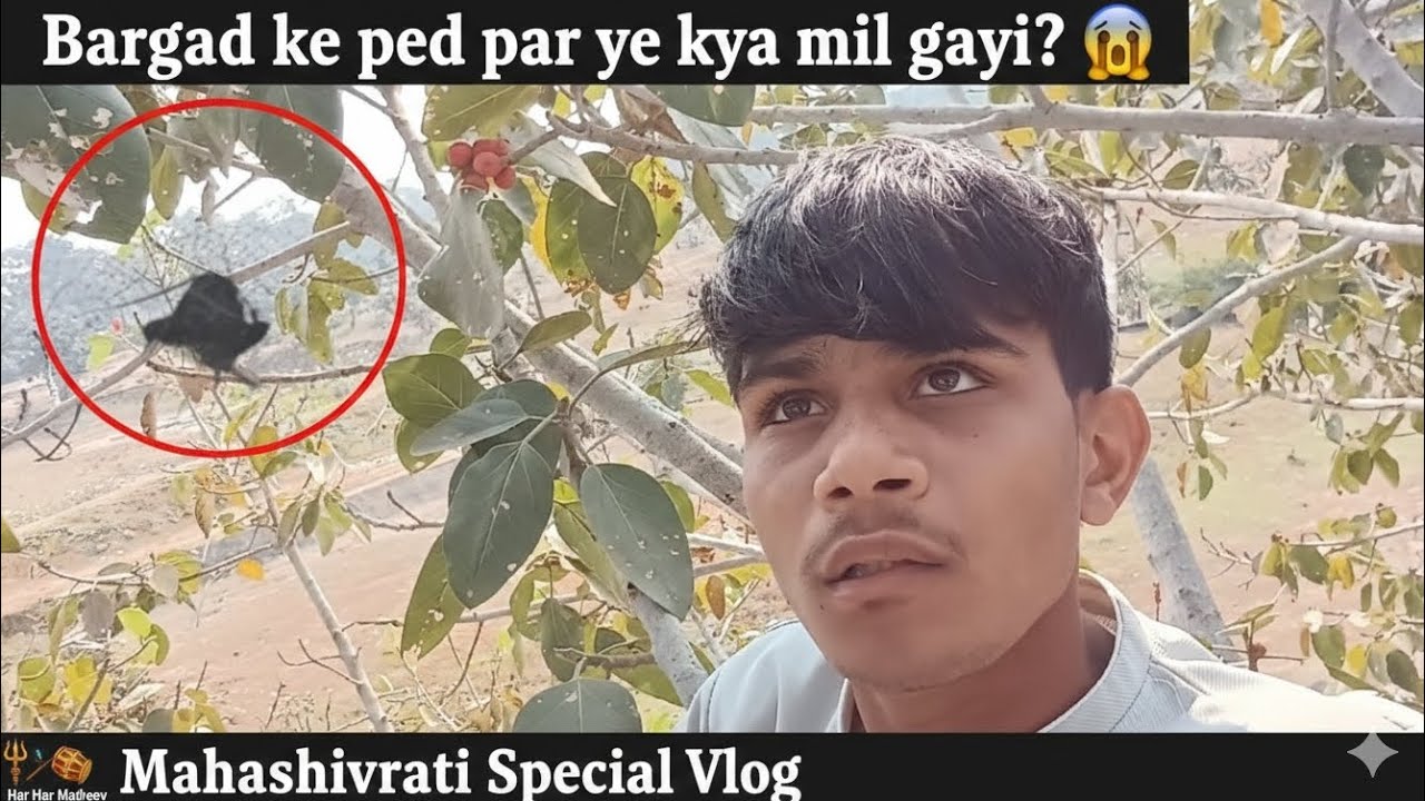  पेड़ के ऊपर बिछी थी मौत की जाल! 🕊️💔 Iska zimmedar kaun? | Mahashivratri special Vlog 💗