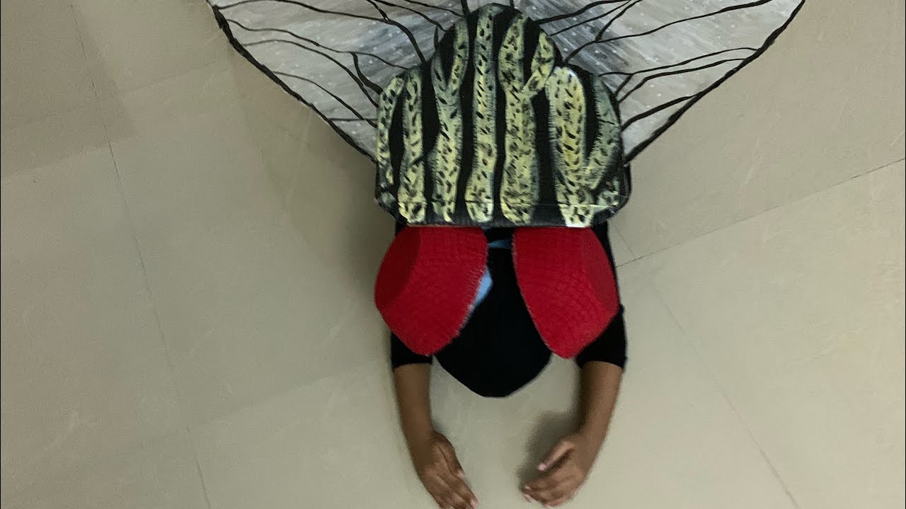 Fancydress housefly