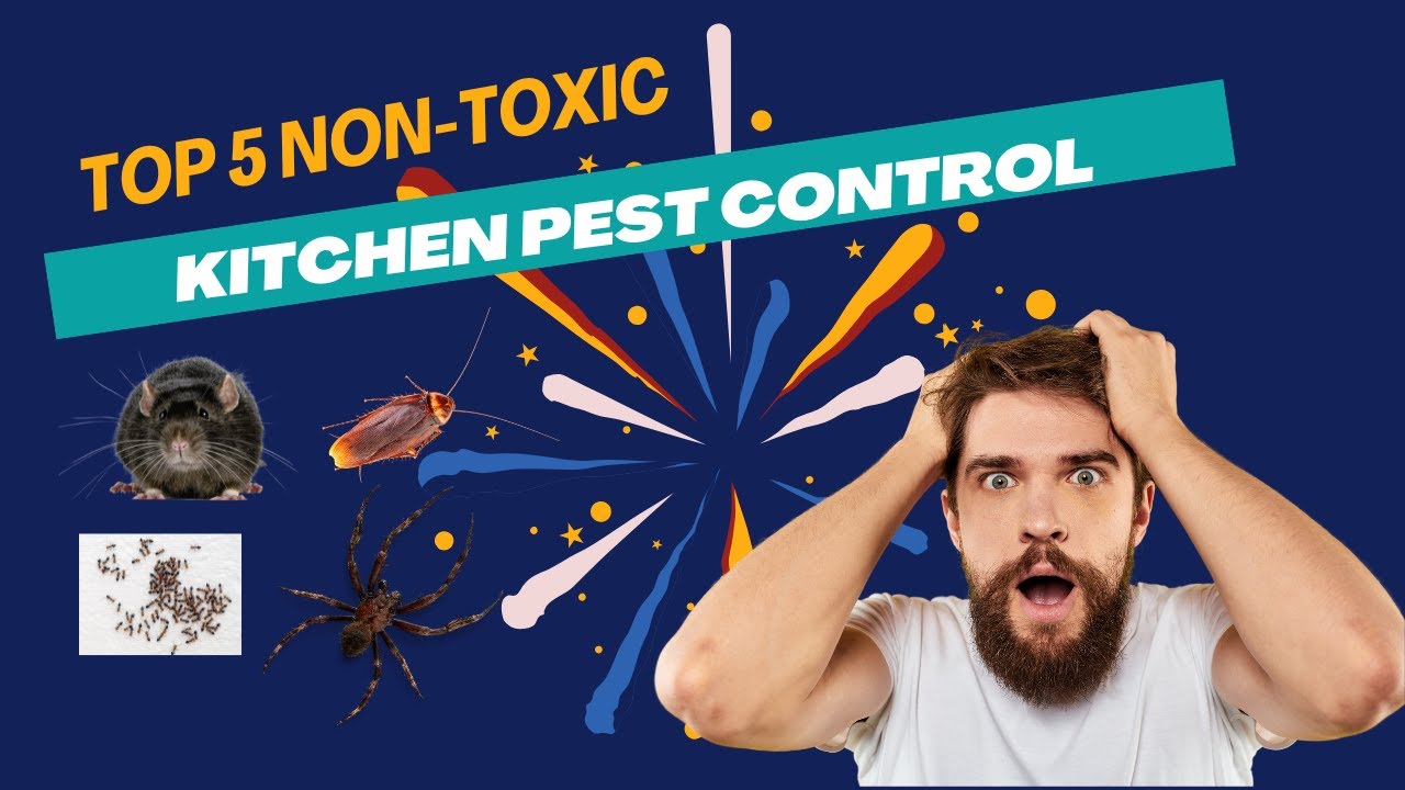 5 Non-Toxic Kitchen Pest Control Products You Need to Try!