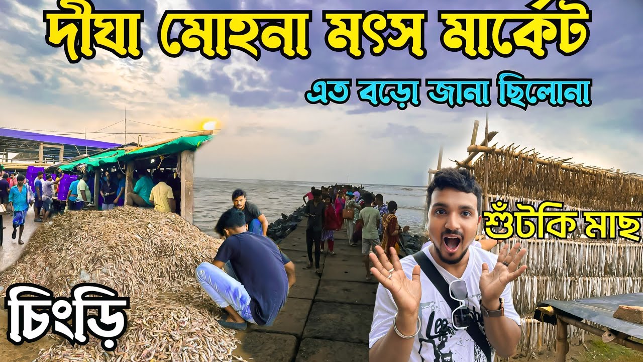 'চিংড়ির পাহাড়' মোহনায় 💥New পাইকারি মাছ বাজারে। digha mohona macher bazar.digha mohona.