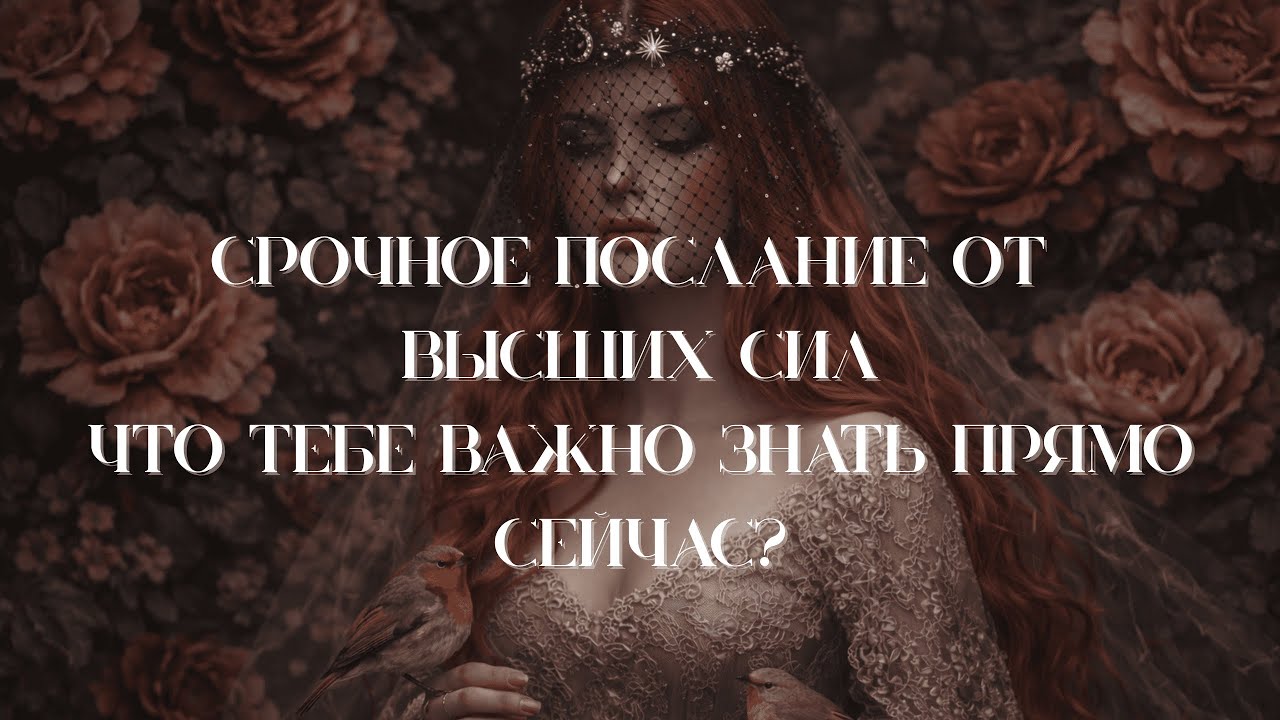 Послание от Высших Сил: Что тебе важно знать сейчас? | Таро Расклад 🌒