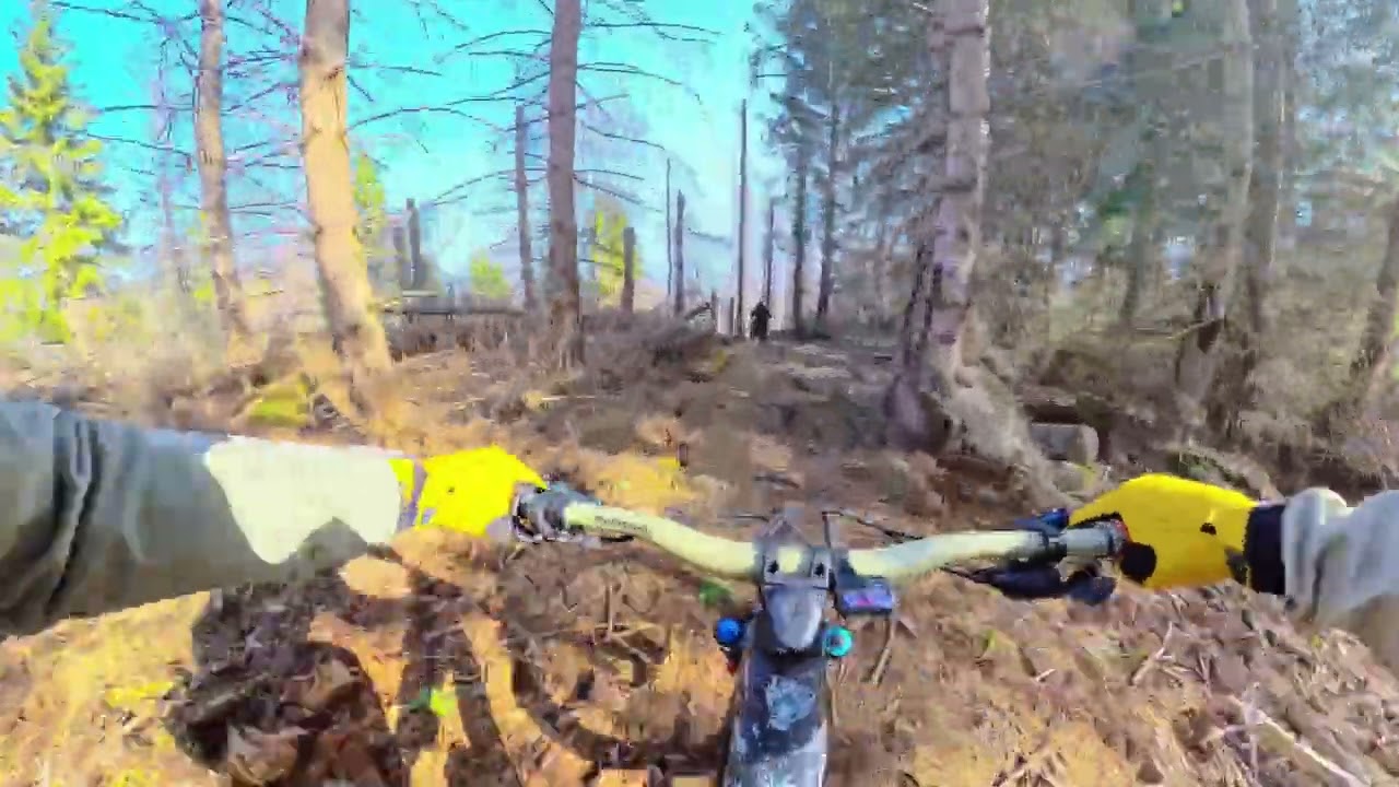 Trailpark Harz… Best Trails in Germany! 