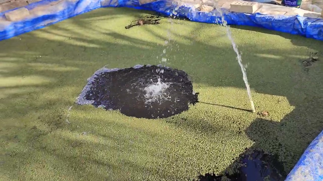 اسرار نجاح الازولا في العراق