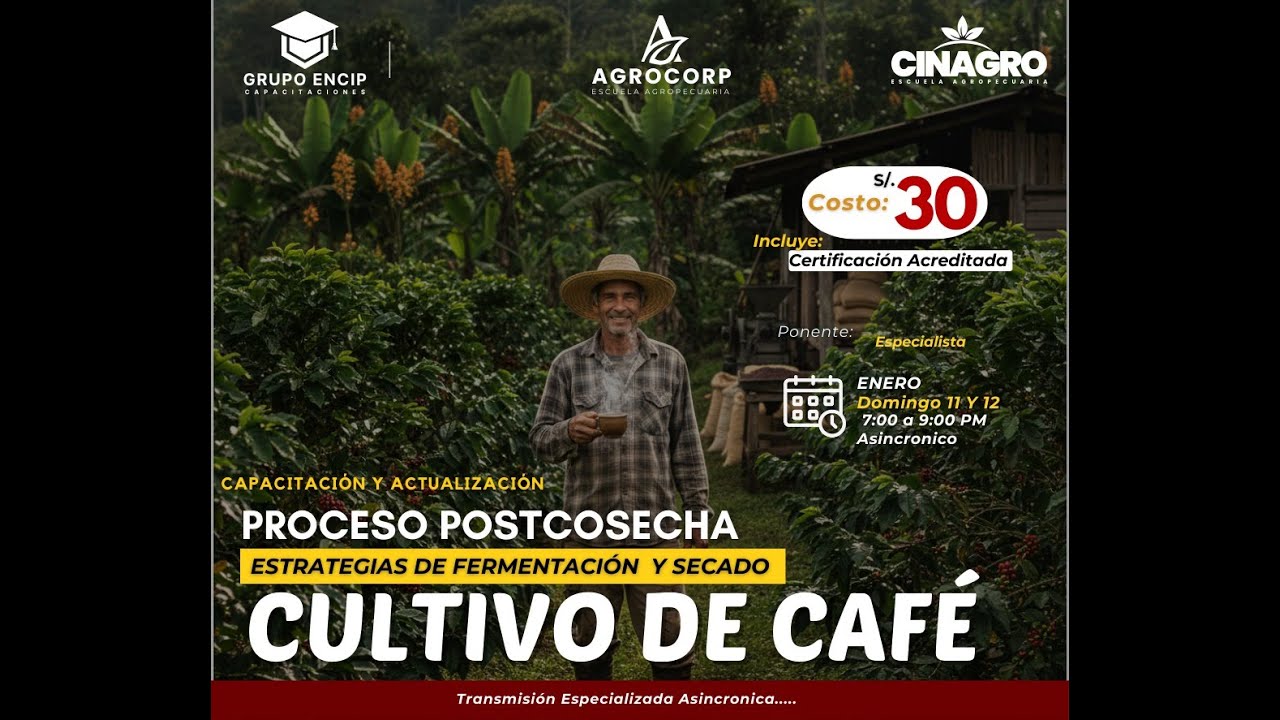 ESTRATEGIAS DE SECADO Y FERMENTACIÓN EN CAFÉ 2  - LUNES 12 ENERO