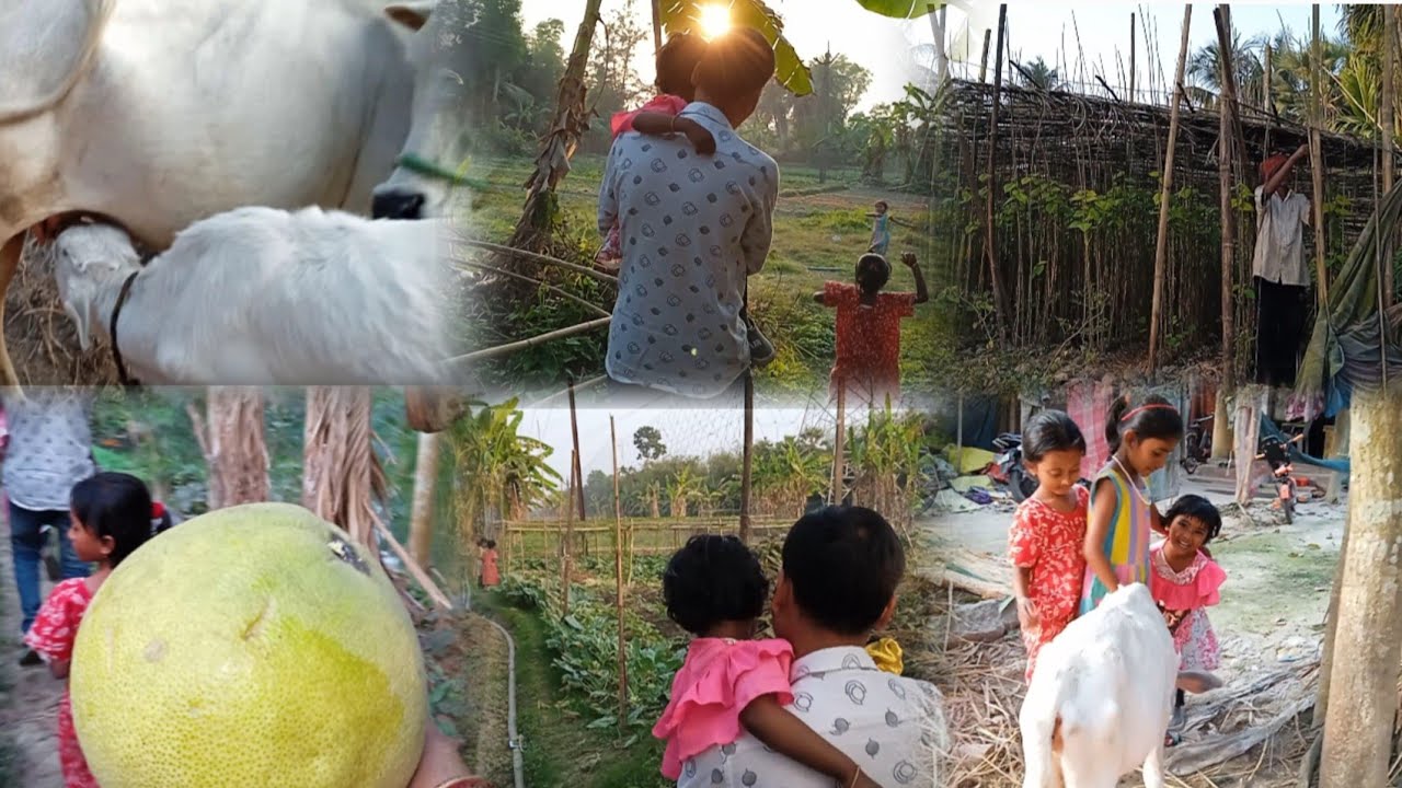 গ্রাম মানেই সুন্দর 