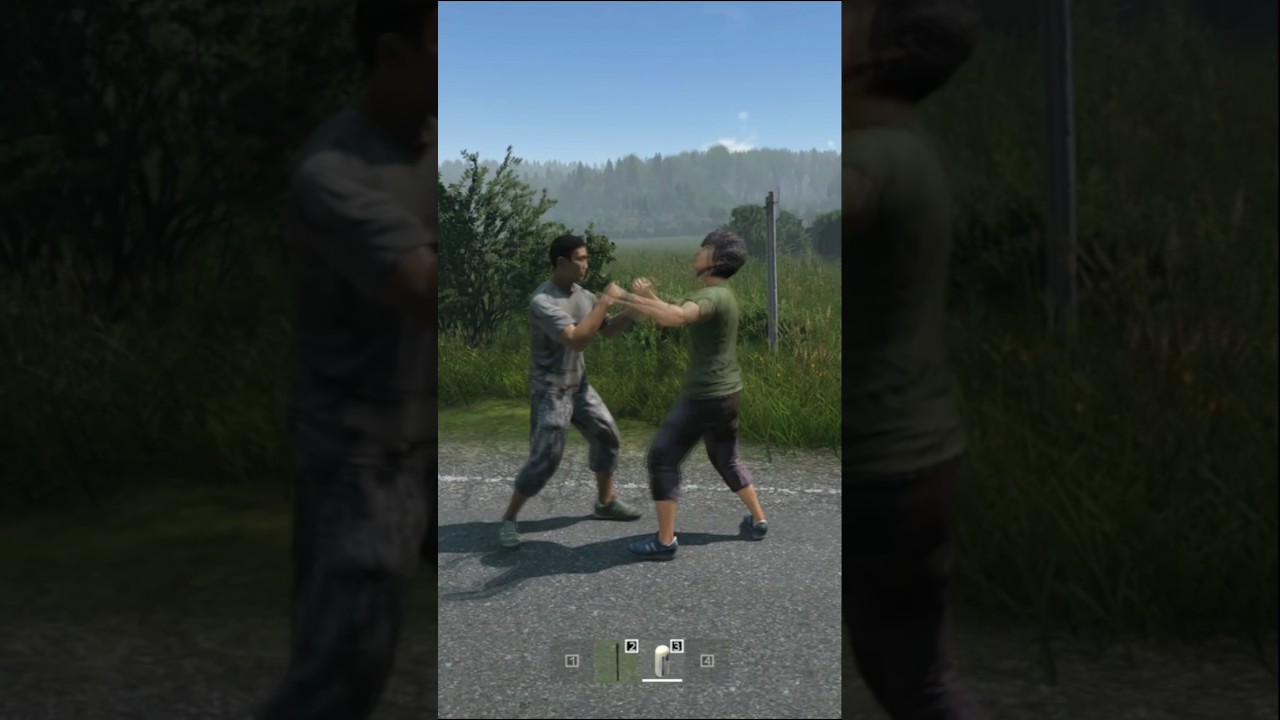 Aqui &eacute; Brasil!!! #dayz #dayzbr #dayzbrasil #fighting
