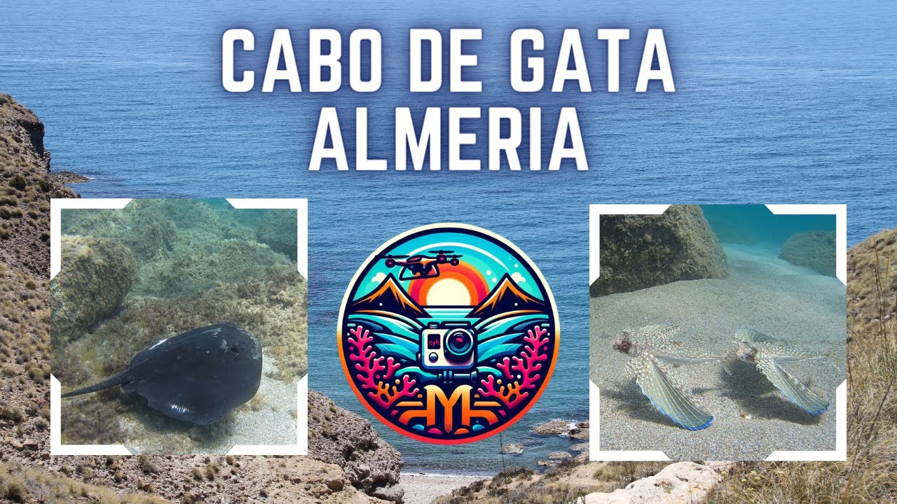 Snorkel en Cabo de Gata, Almería