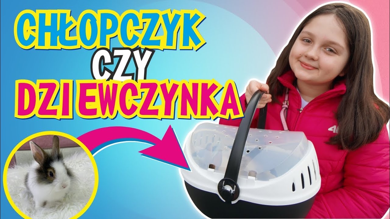 PIERWSZA WIZYTA U WETERYNARZA 🐰 CHŁOPCZYK CZY DZIEWCZYNKA ❓ MISIA I JA