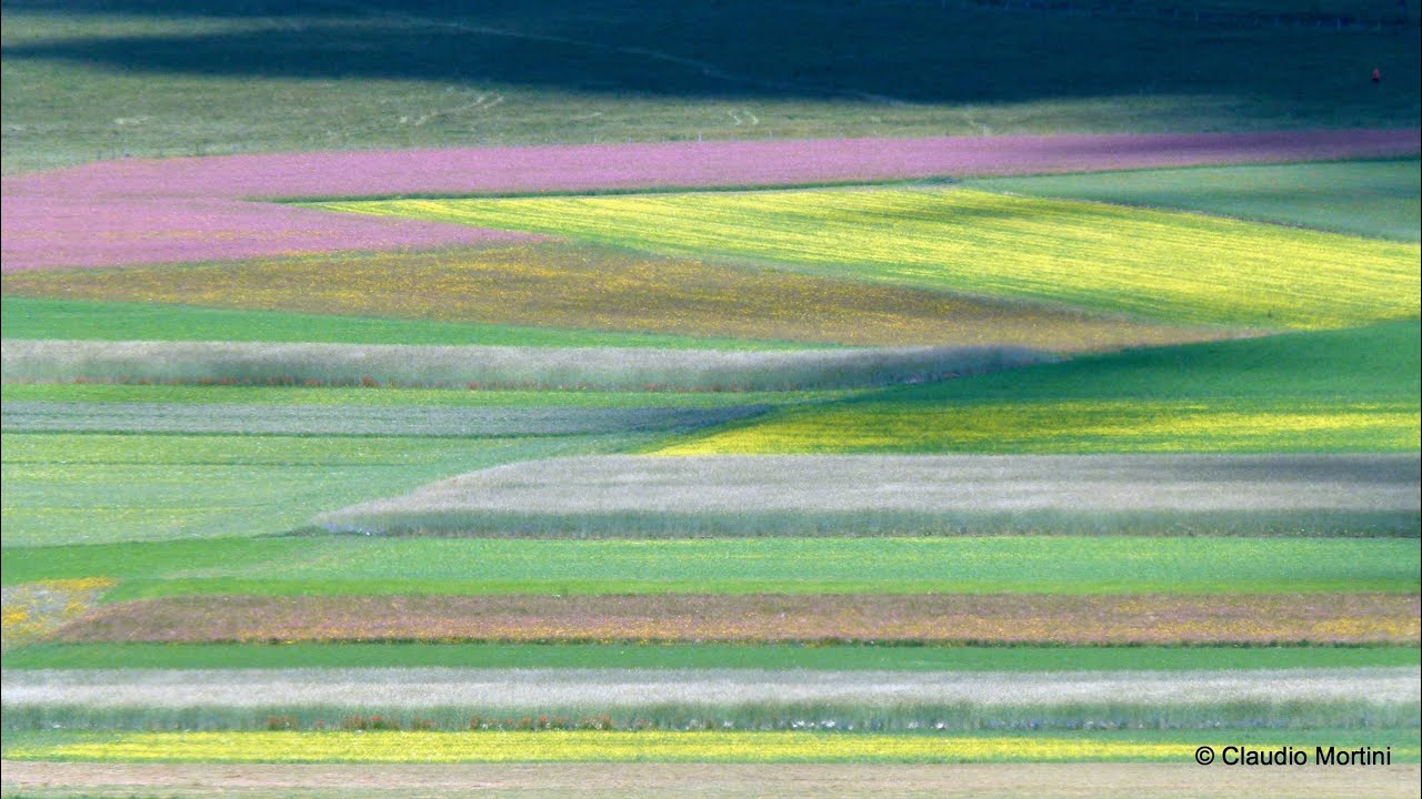 CASTELLUCCIO DI NORCIA - LA PRIMA FIORITURA 2014 - Full HD