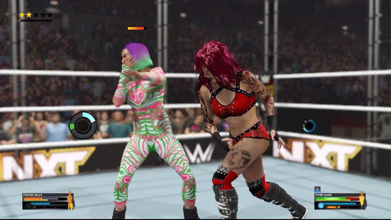 Psycho Sally vs. Piper Quinn - NXT Women's North American Title Steel Cage Match: NXT Deadline 2025