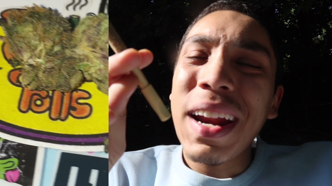NYC Cannabis Cup 2021 / 24 Strains, Testing & Reviews
