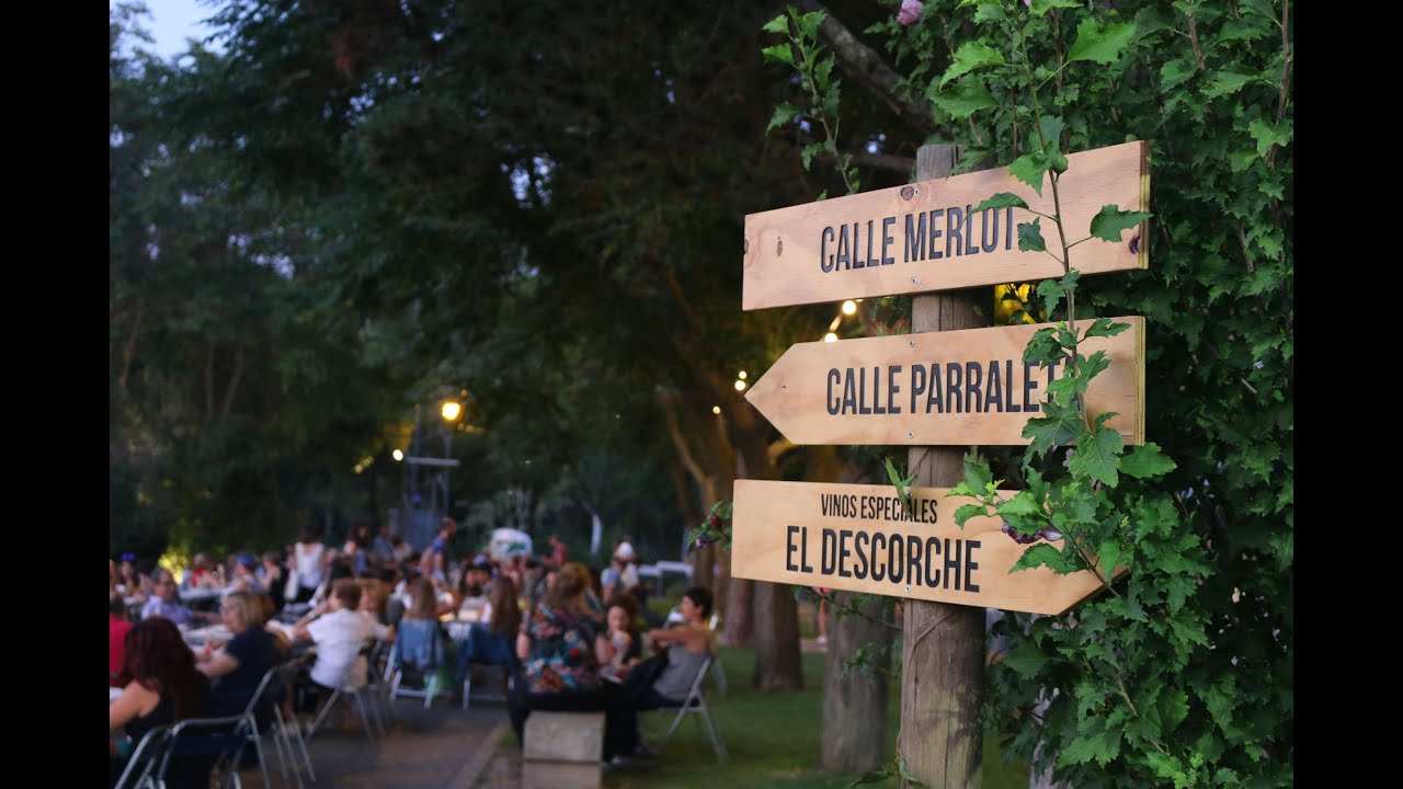 FESTIVAL VINO SOMONTANO, ¡LA GRAN FIESTA DEL VINO!