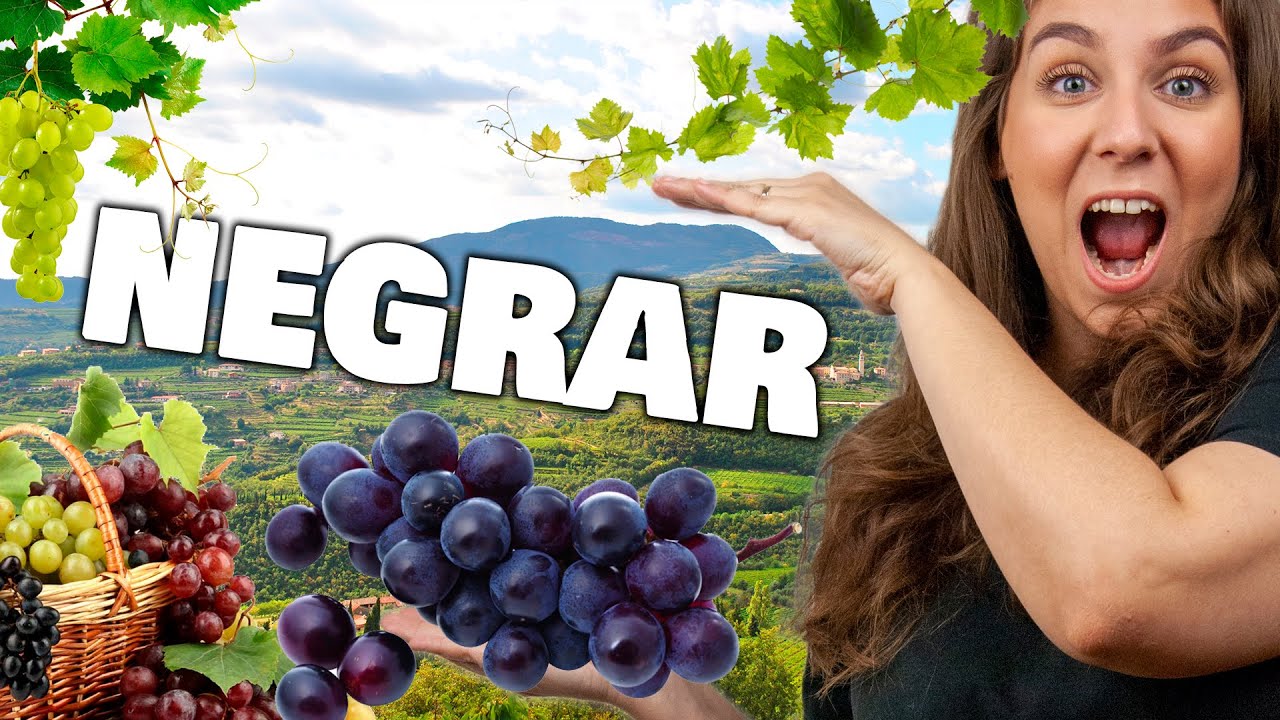 TOUR NEGRAR DI VALPOLICELLA: ONDE MORAR EM VERONA NA ITÁLIA | VIVER NO VENETO