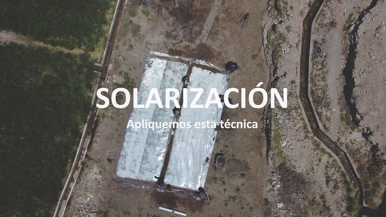 Tutorial Técnica de Solarización