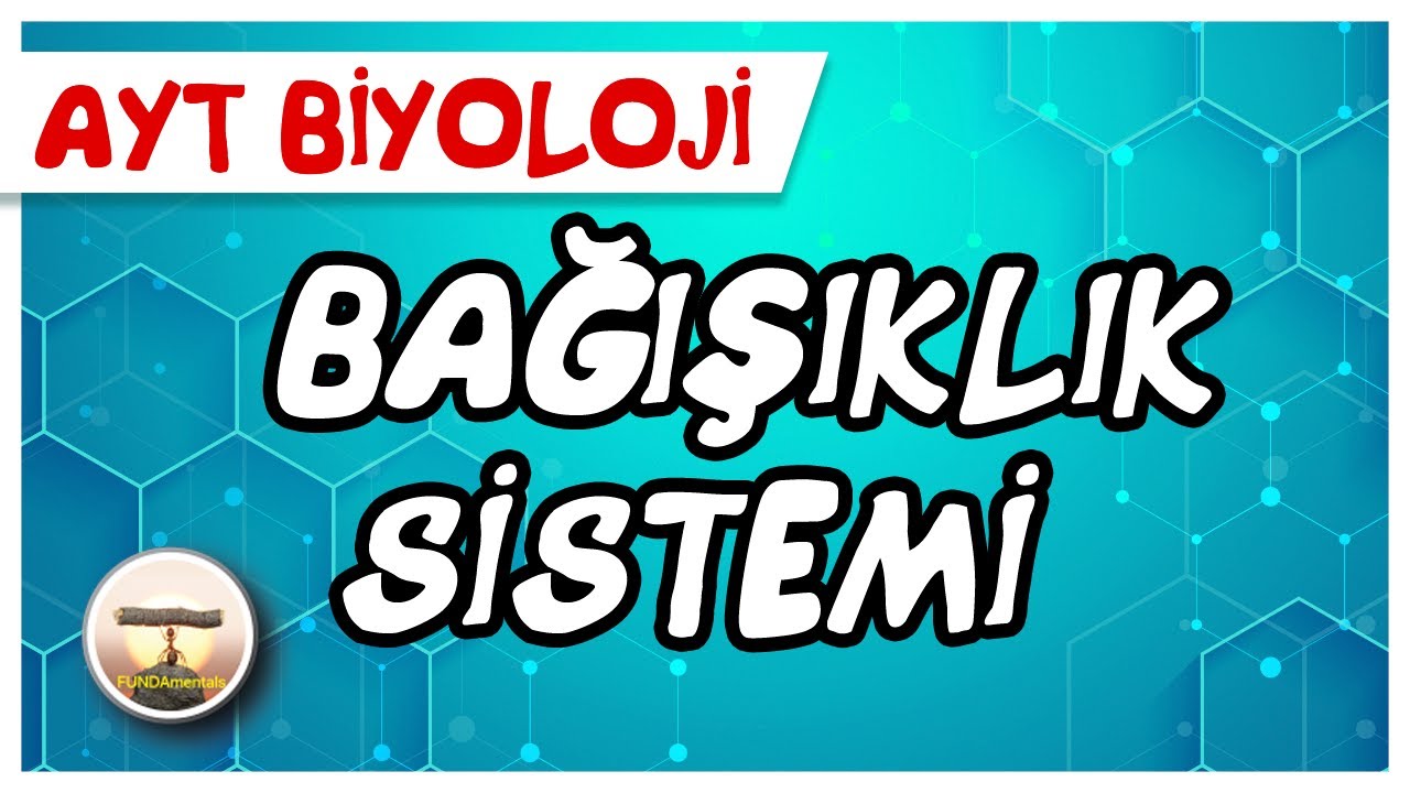 AYT Biyoloji | Bağışıklık Sistemi #sayfa 88