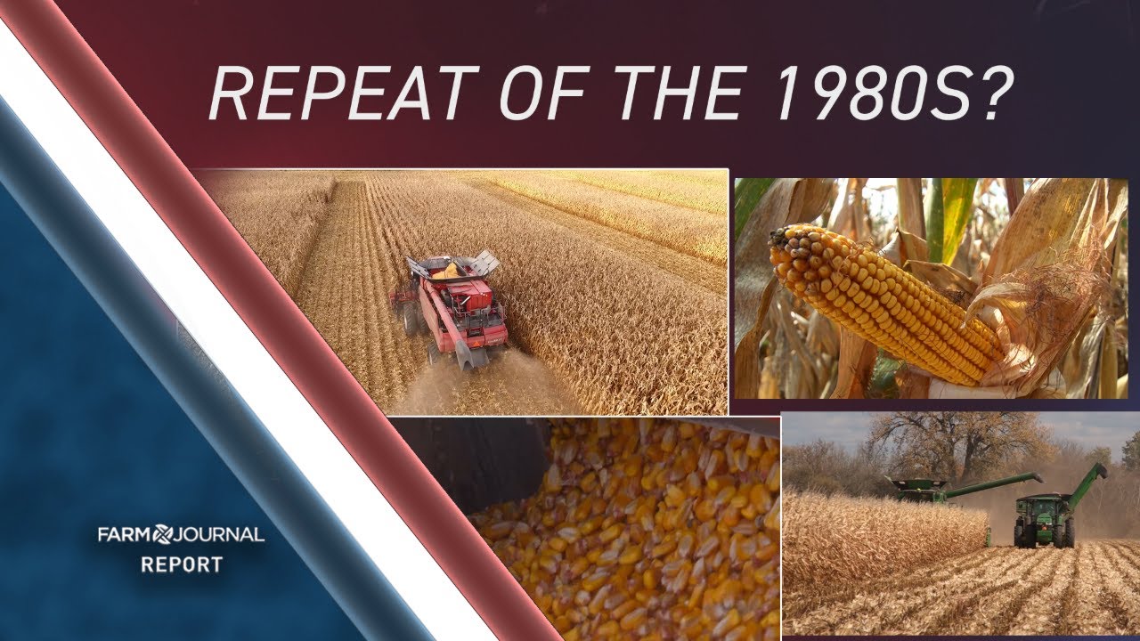 Ag Economists Warn of Lingering Farm Economic Strain: &rsquo;Not the 1980s, But Close&rsquo;