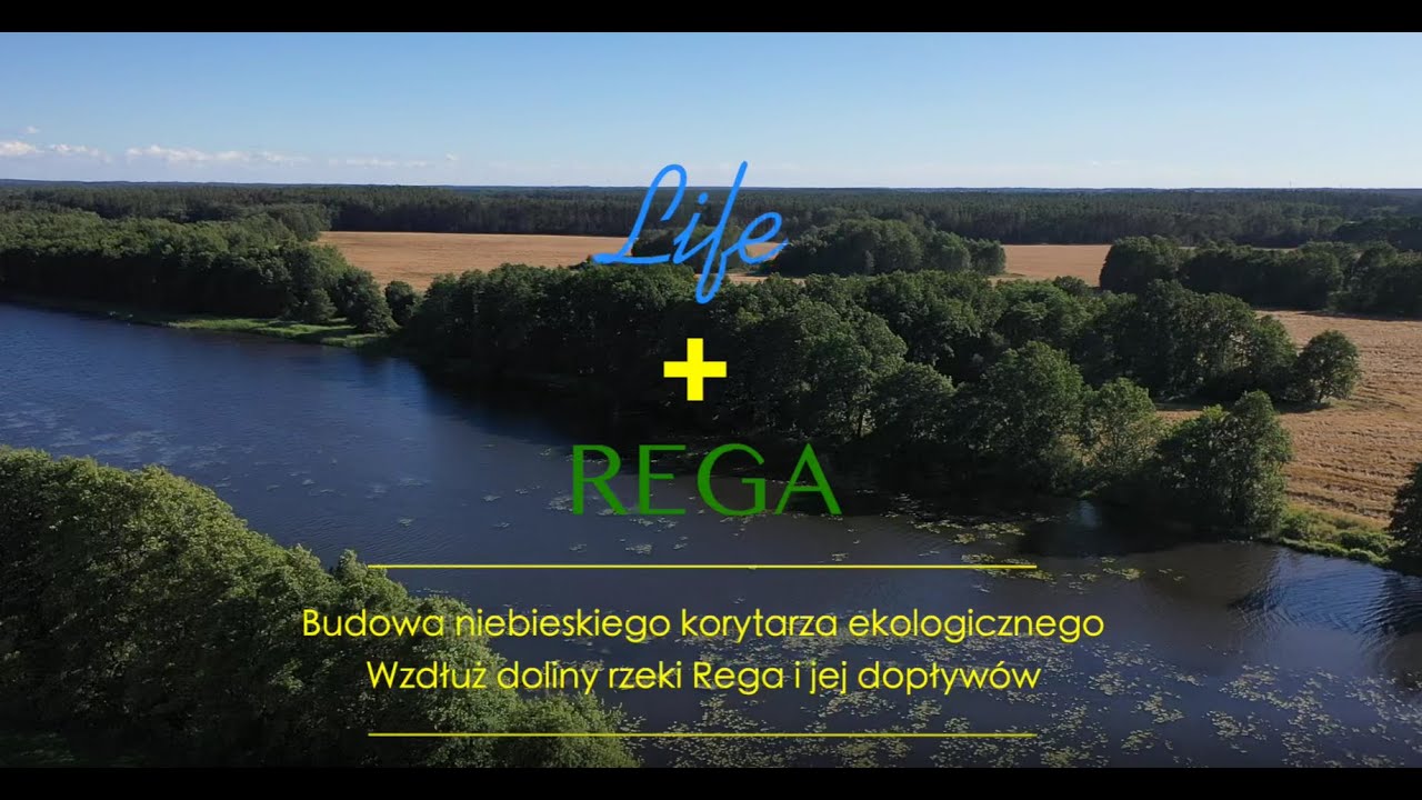 Life+ Rega Budowa niebieskiego korytarza ekologicznego wzdłuż doliny rzeki Regi English subtitles