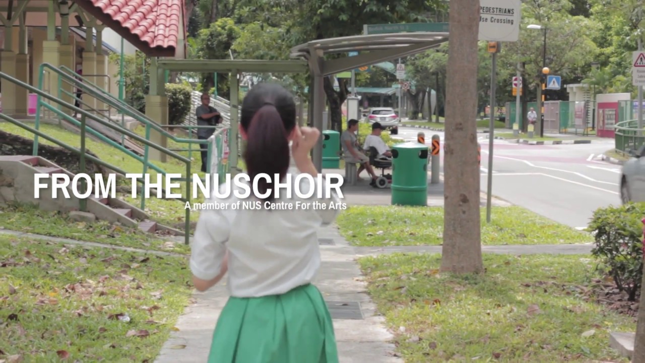 Sing your dreams - The NUSChoir 2017 #whynuschoir