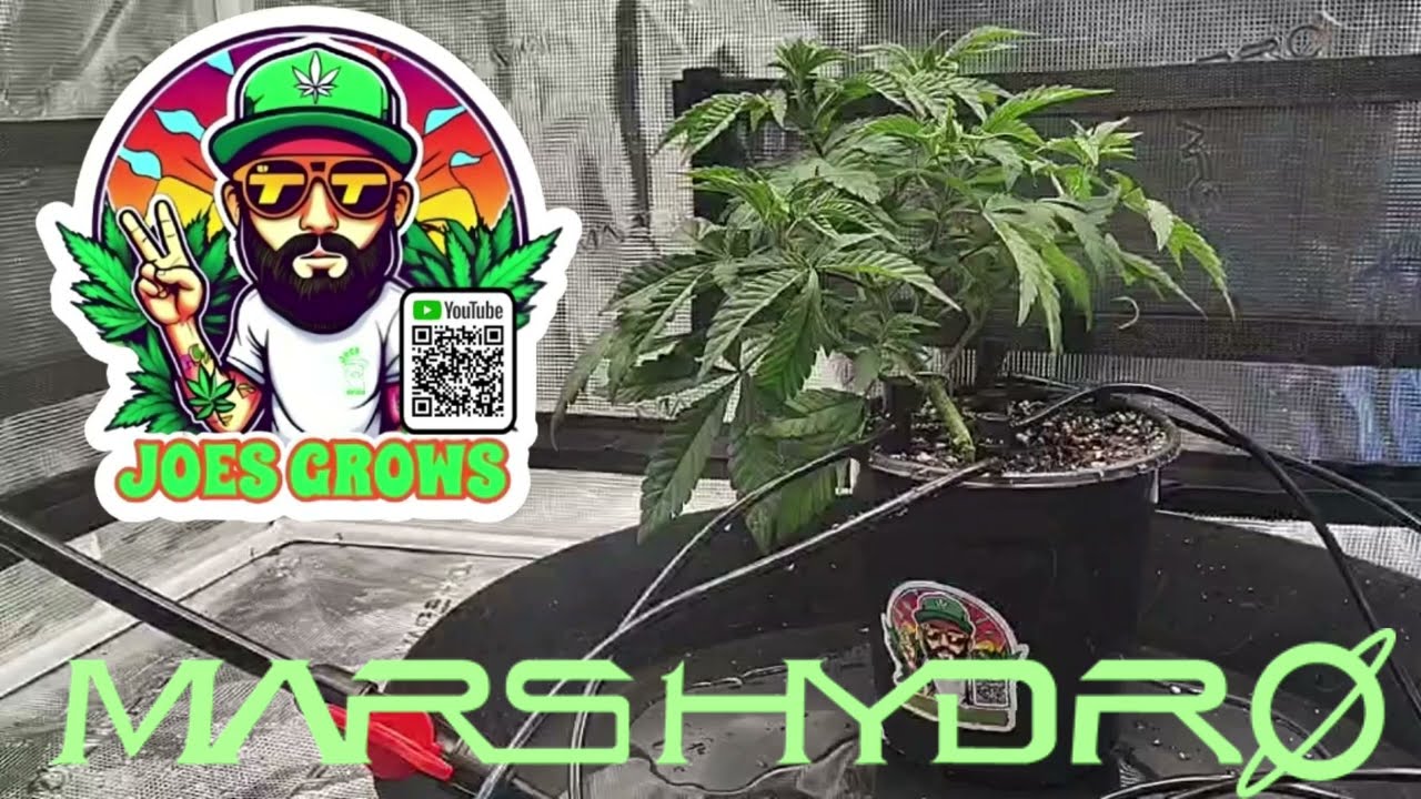 Я попробовал ирригационный комплект MarsHydro.