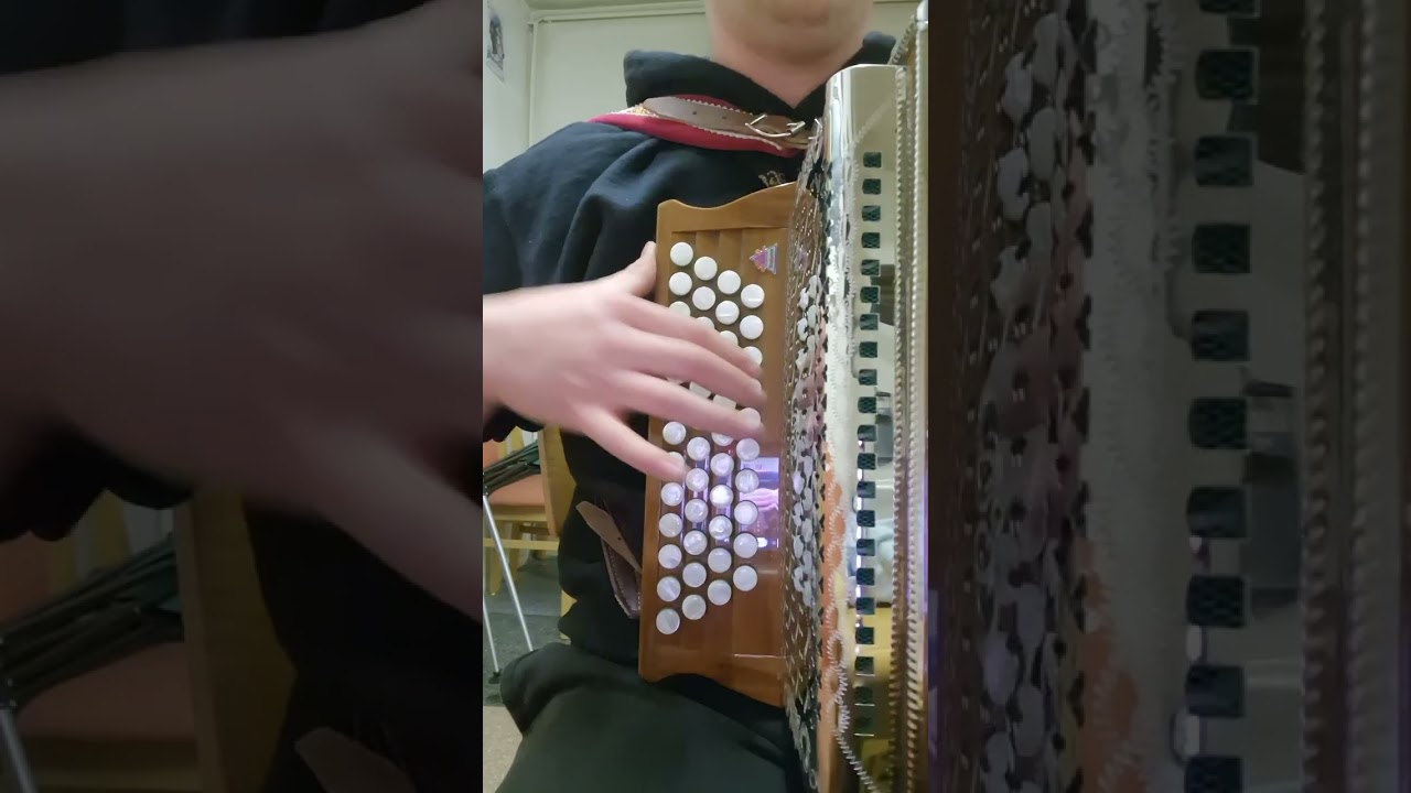 Wir san vom Gradnertal gespielt auf der steirischen Harmonika