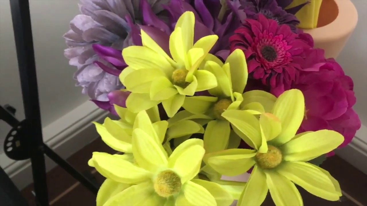 Beija Flo - Vlog #5: THE VAGINA MONOVLOG