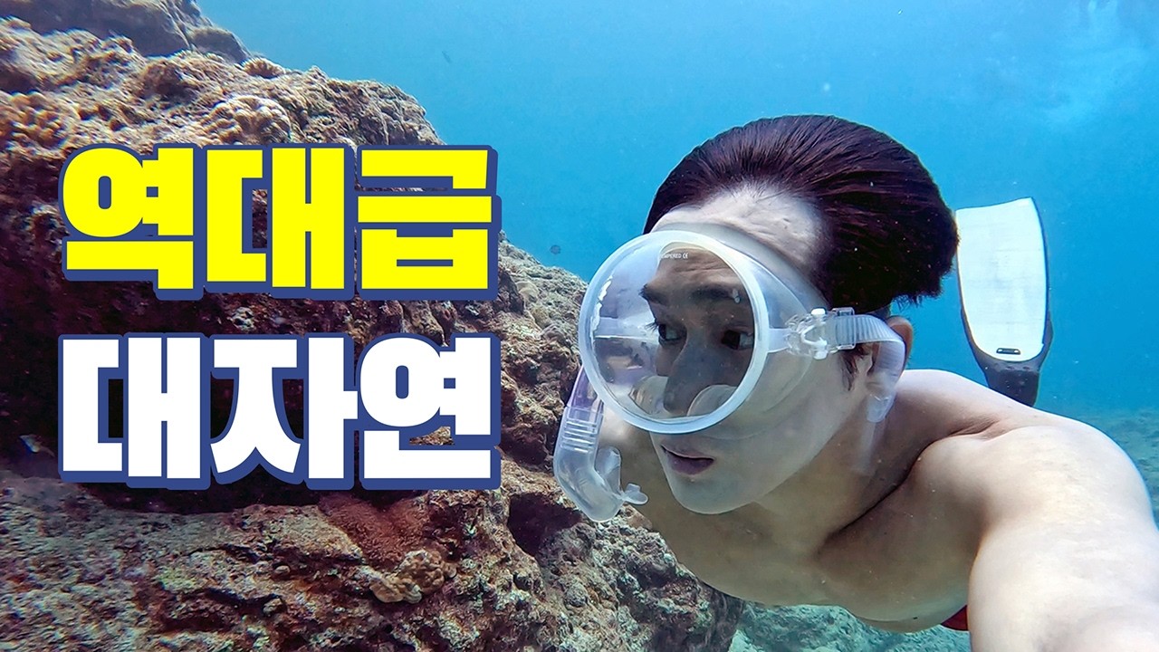 한국에서 2시간 거리 환상의 섬 오키나와 바닷속 탐사 (푸른동굴 인생샷, 렌트카, mic21) | 스노클링 프리다이빙 스쿠버다이빙 투어 포인트