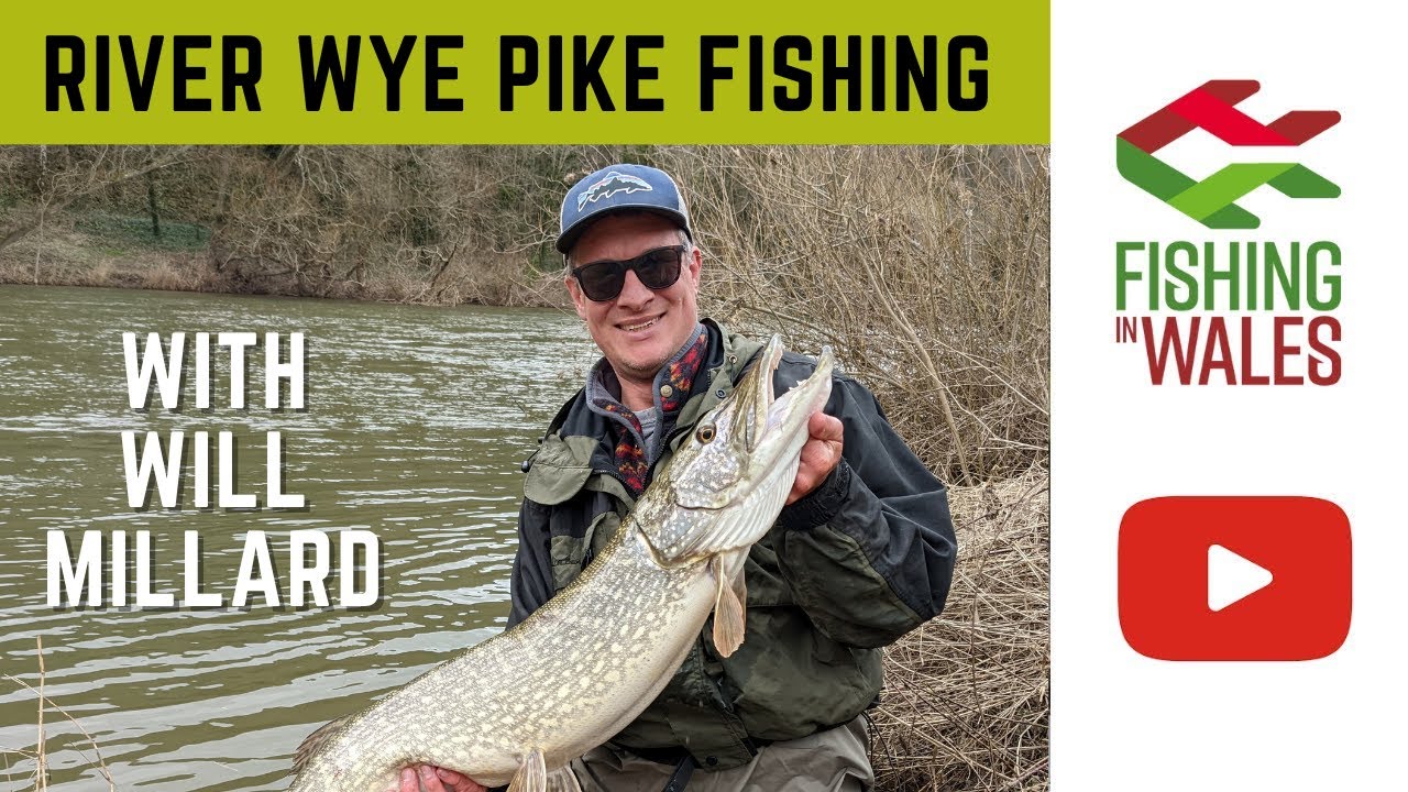 Wye pike lure and deadbait fishing - with Will Millard