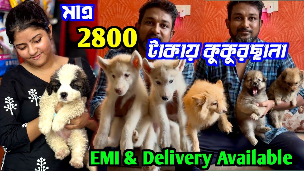 ব্যারাকপুরে মাত্র 2800 টাকায় কুকুরছানা. Dog Market in Kolkata Price. Kolkata Dog Market.