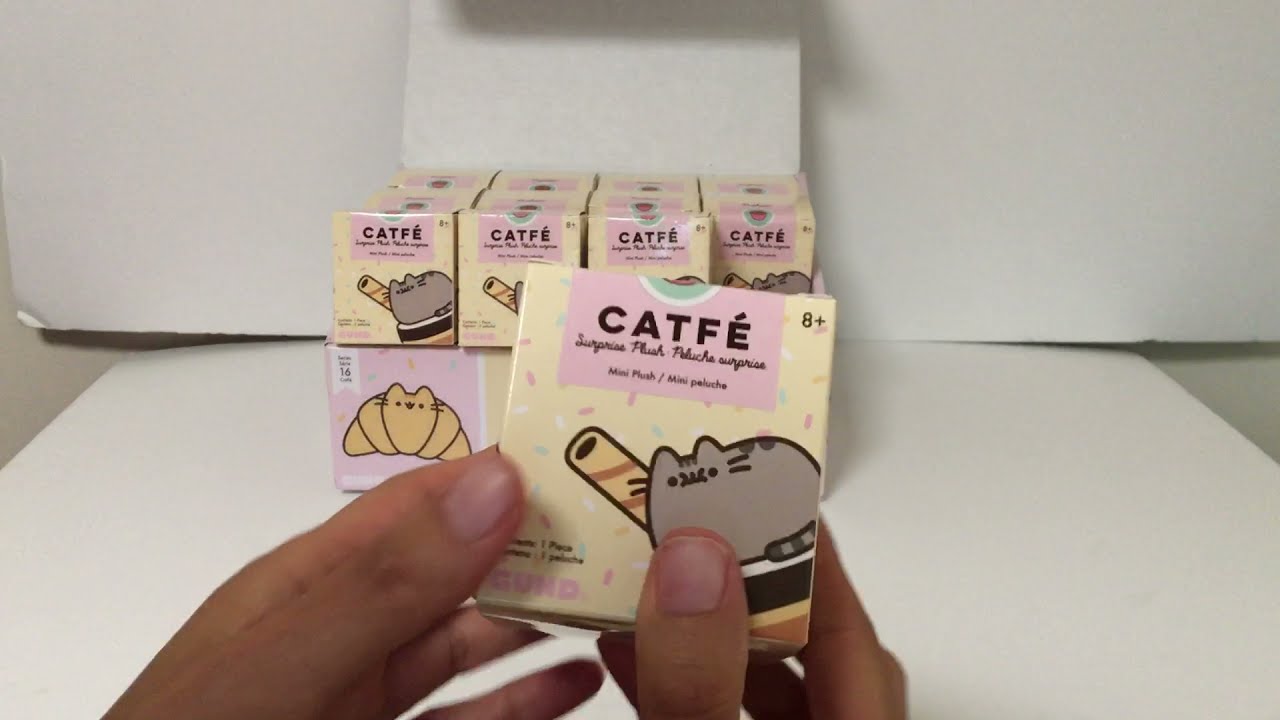 Pusheen Series 16 CATFE blind box case opening!!!! (Part 1 SORRY!)