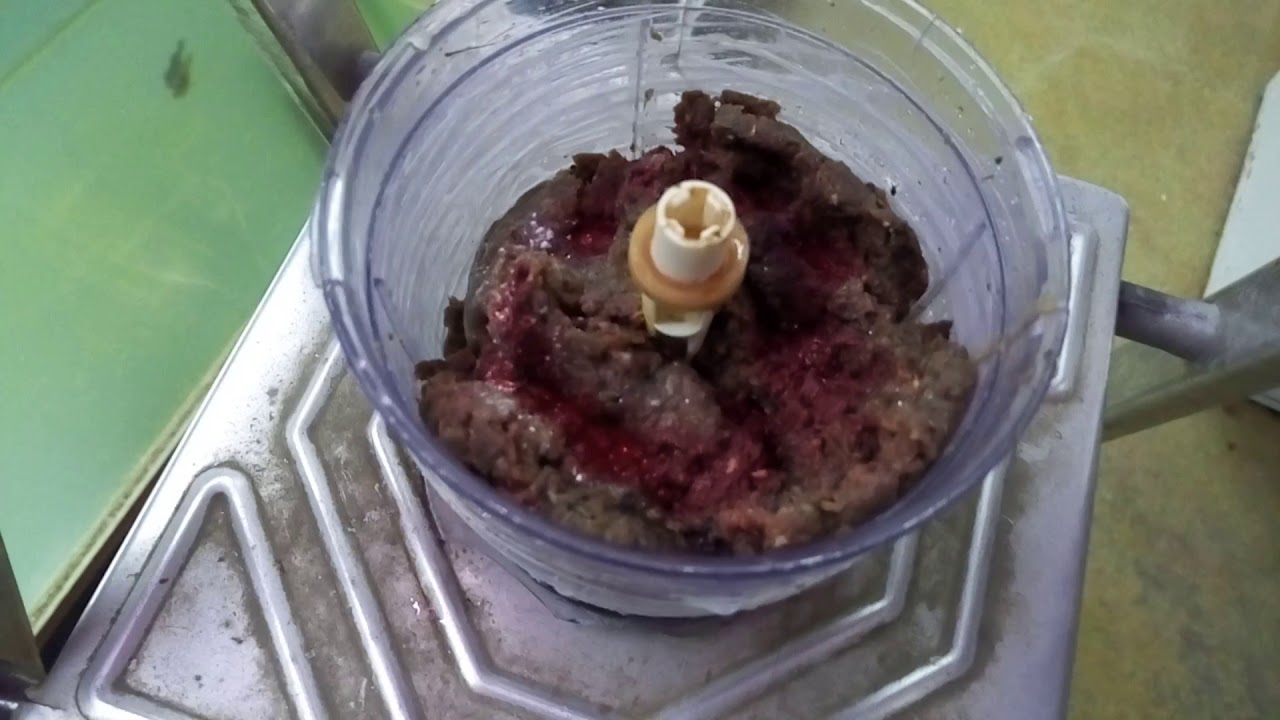 Часть первая . Лечебный （профилактический ) корм для дискусов