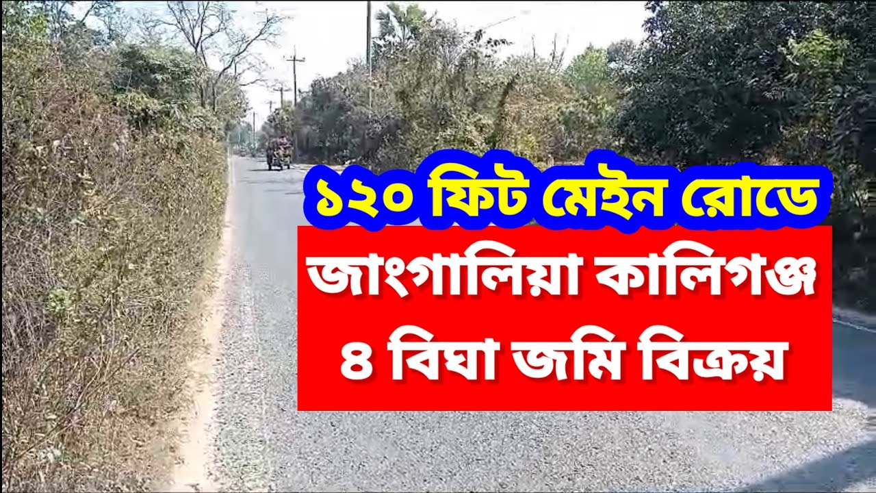 ৪ বিঘা জমি বিক্রয় | ১২০ ফিট রোড | গাজিপুর কালিগঞ্জ | Impex Property