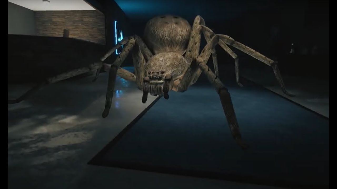Esta araña si que da miedo.. | Huntsman