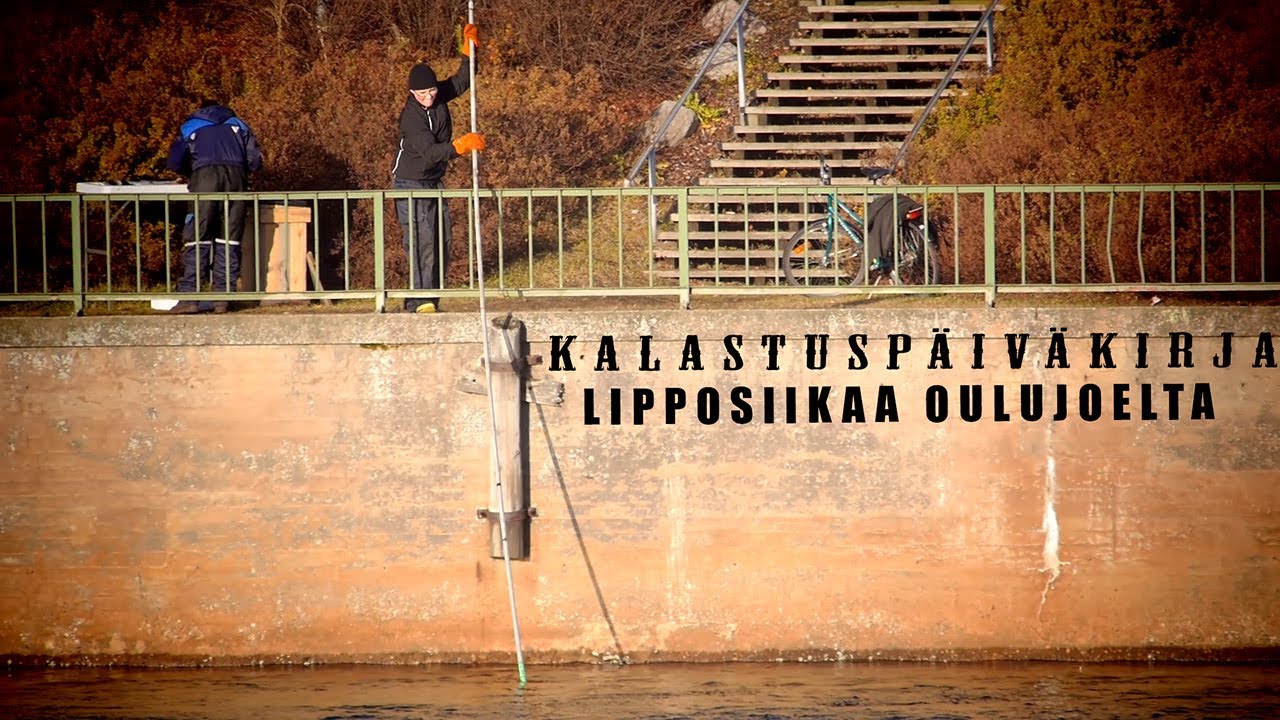 Kalastus ● Lipposiikaa Oulujoelta