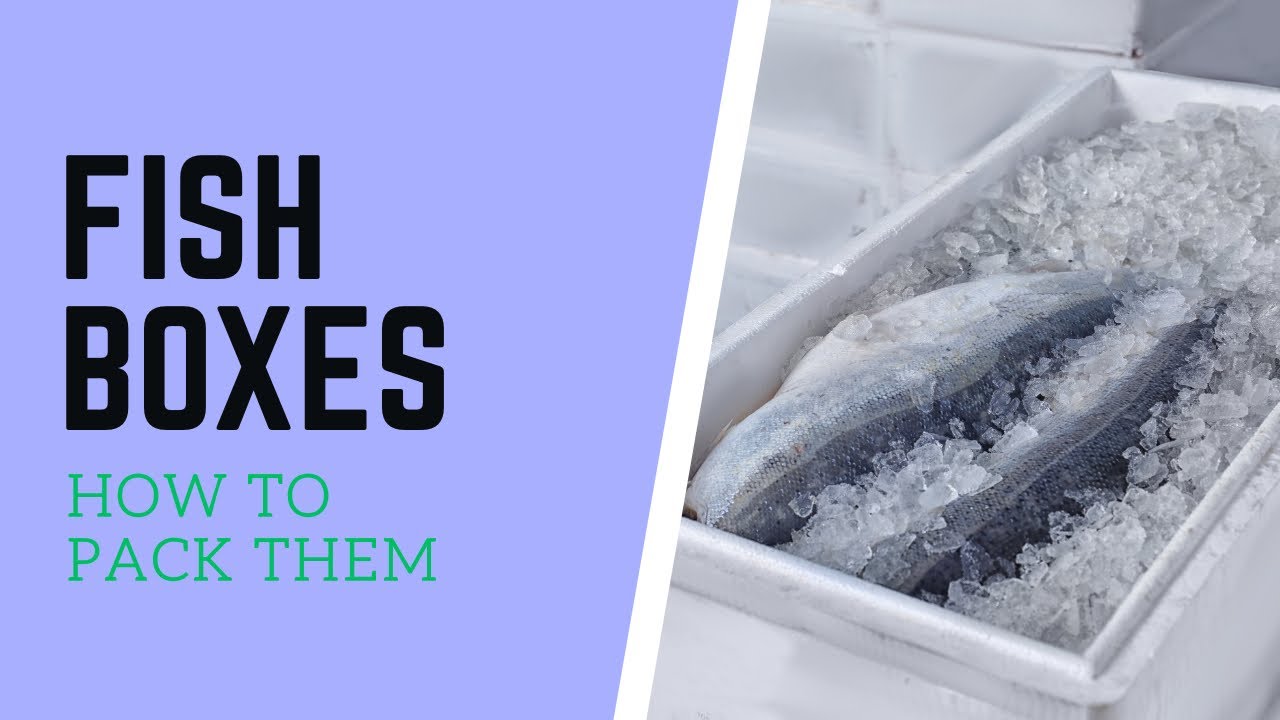 HOW TO PACK FISH BOXES #alaska #salmon #halibut