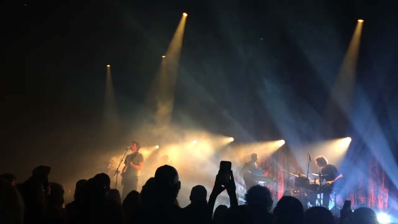 TAMINO 