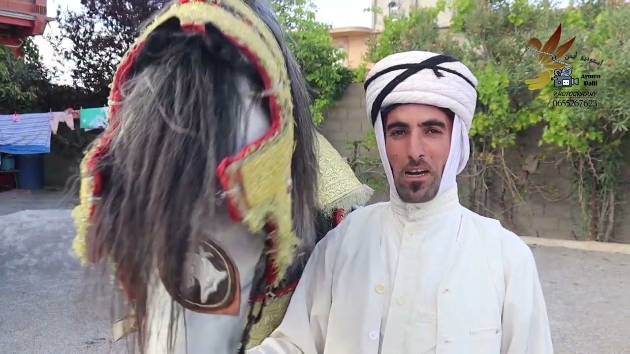 من تراث بلادي فرسان بلهوشات العلمة