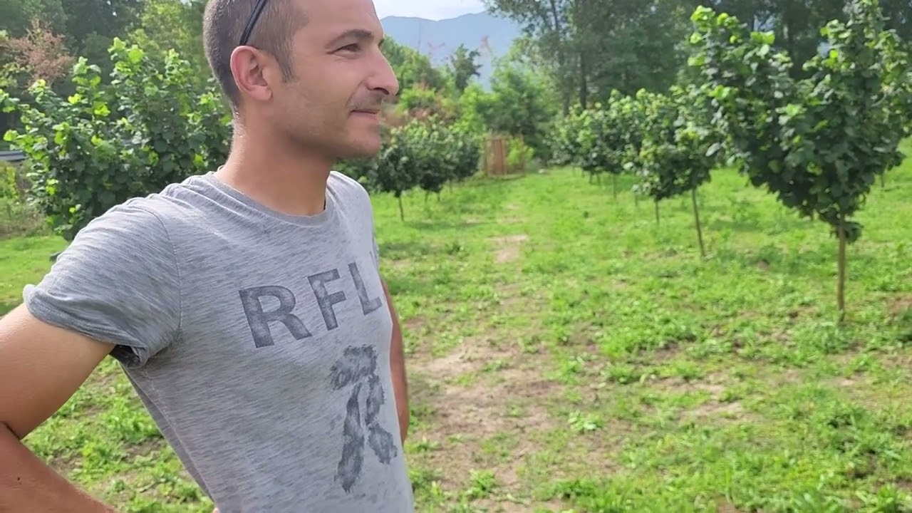 NOCCIOLETO ZARAGOZA: I PRIMI PASSI