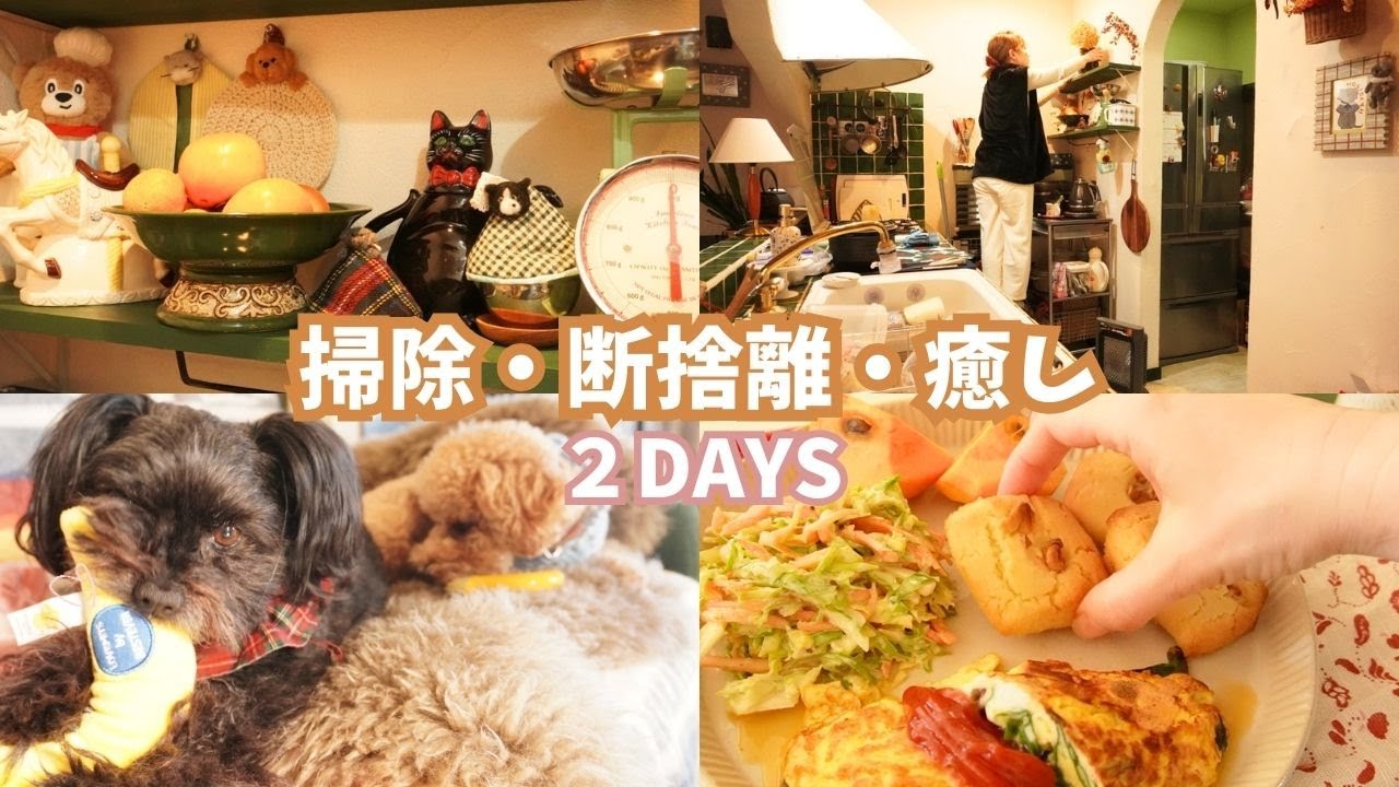【2日間VLOG】キッチンの整理整頓で心地よく過ごす/おすすめ家電/愛犬たちへのXmas大作戦？/米粉の簡単朝食