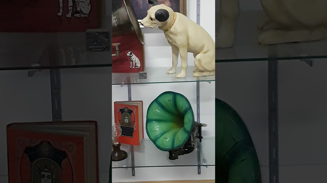 Grammophon Gramophone Phonograph Museum