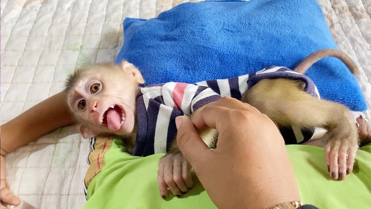 Baby DAM Seems Sensitive To Mom Touch Tender Comfort To Sleep
