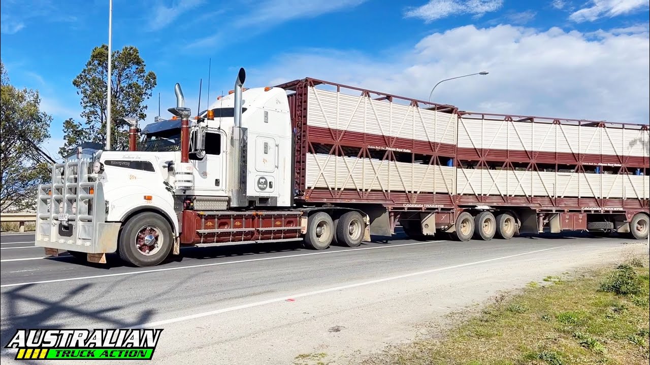 Australian Livestock Trucks Compilation #1