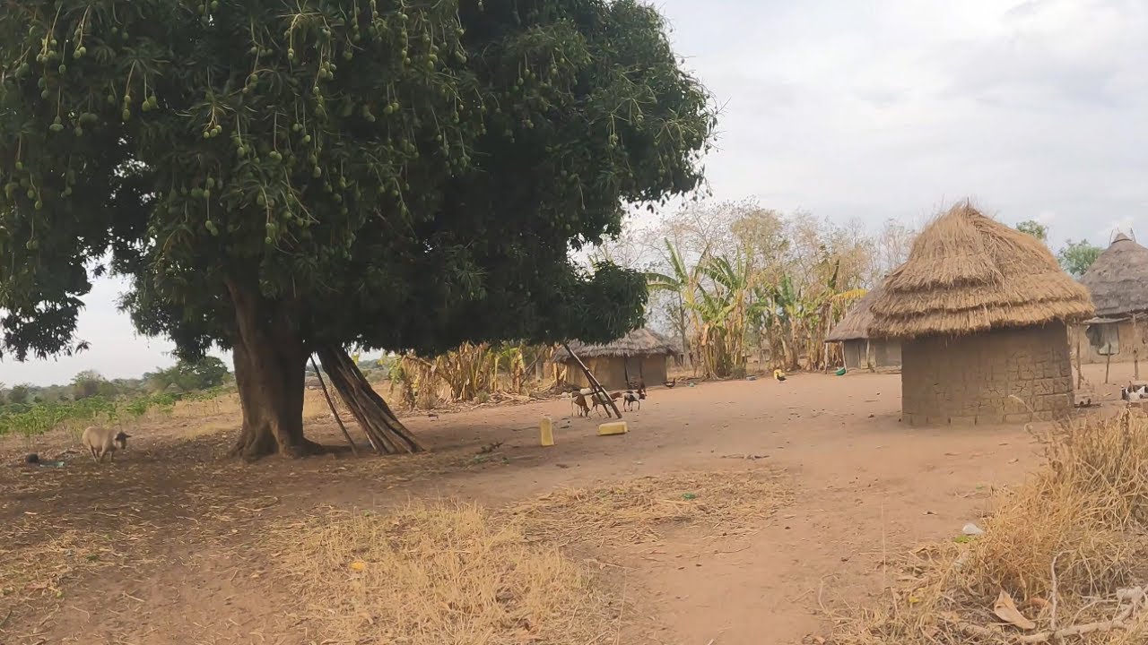 Inside a Humble Village Community setting in AFRICA🌍 UGANDA🇺🇬,