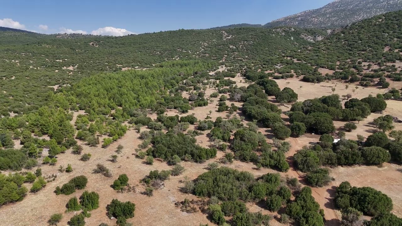Yukarı Gebiz (Hacı Kara Ali’nin Dam Yatağı) - Kızılca Mahallesi, Tavas/Denizli
