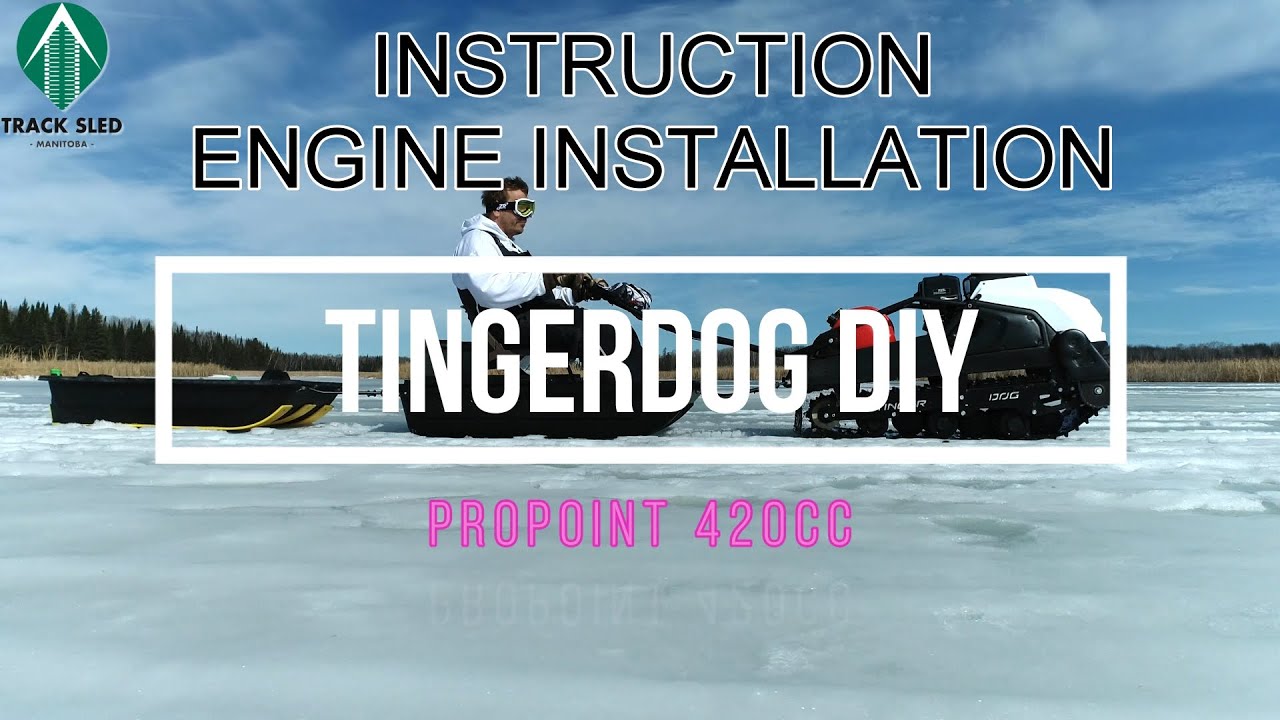 TingerDog DIY KIT - Step by Step - Instruction Video for Princess Auto ProPoint 420CC