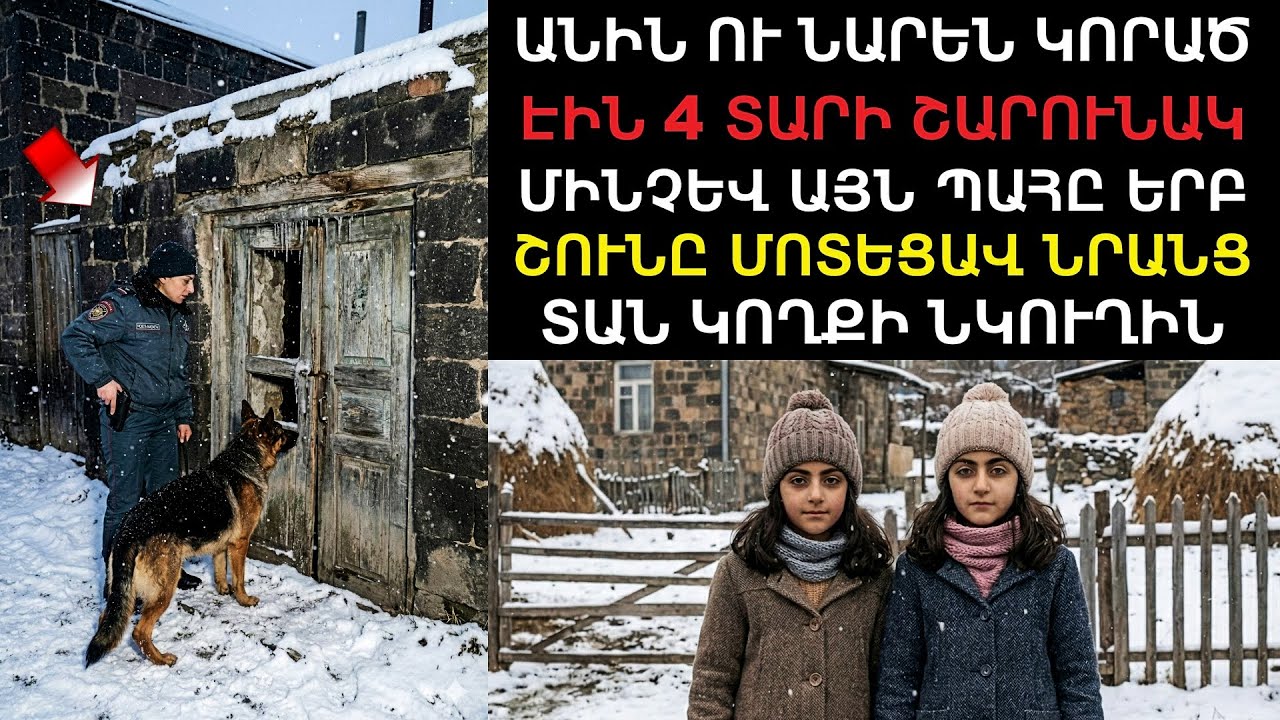 Երկու քույրեր անհետ կորել էին 4 տարի, մինչև որ շունը գտավ հարևանությամբ գտնվող նկուղը․․