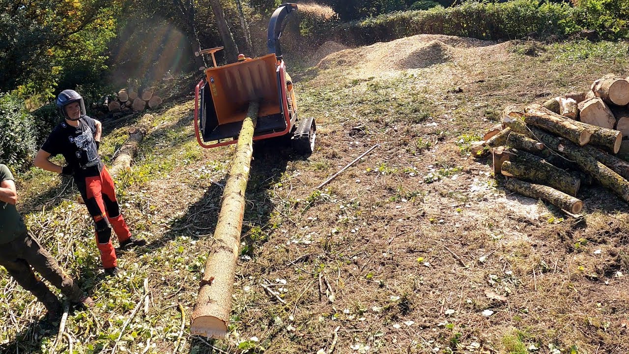 GROS ABATTAGE DE PRÉCISION , MINI CHARGEUR  MICROBULL , FORST TR6D