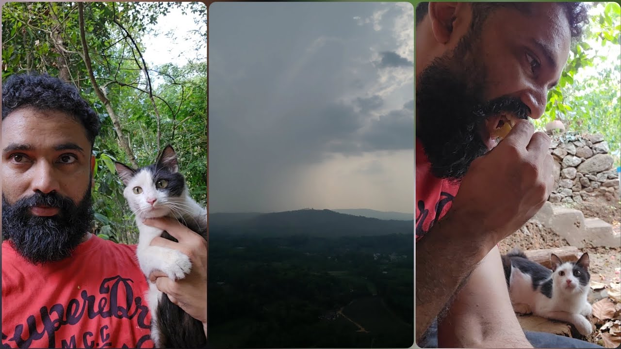 വഴക്കാളി കുഞ്ഞൂസും 😼 ആദ്യത്തെ വേനൽ മഴയും 🌧️ #villagelife #cat #pets 