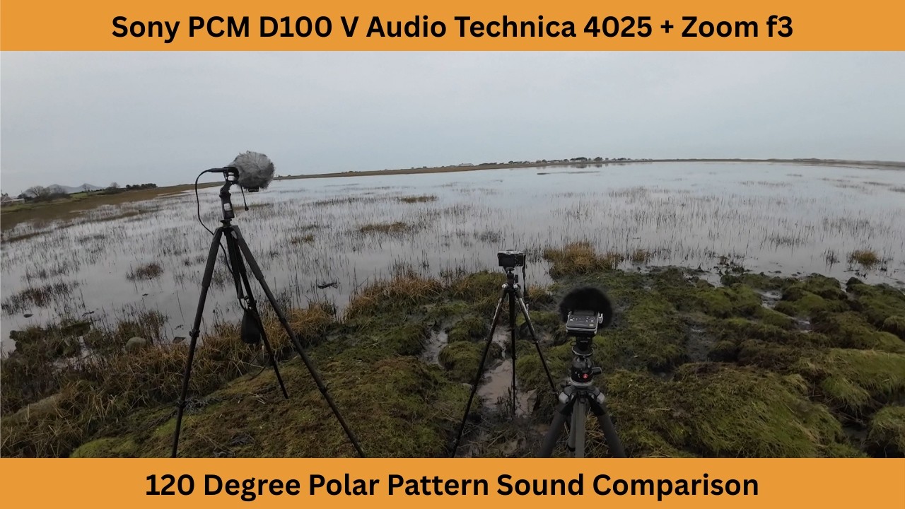 Sony PCM D100 V Audio Technica 4025 Sound Comparison | 120 degree Polar Pattern