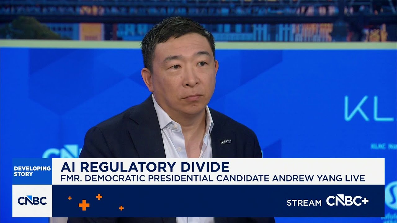 Andrew Yang on AI safety issues: The fear is real, the concern is real